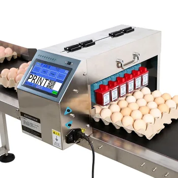 6 Vadovai Kiaušinių Marginimo Mašinos Kiaušinių Data Patvarus Spausdintuvas Rašalinis Kiaušinių Kodas Spausdinimo Mašinos Pardavimo